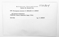 Image Associated With the Occurence